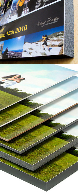 Gator Board San Diego